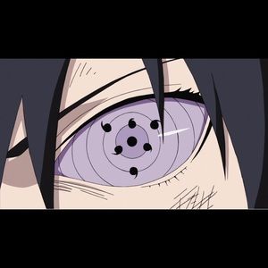 Meet your Posher, Xavier